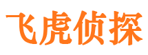 高陵市调查公司